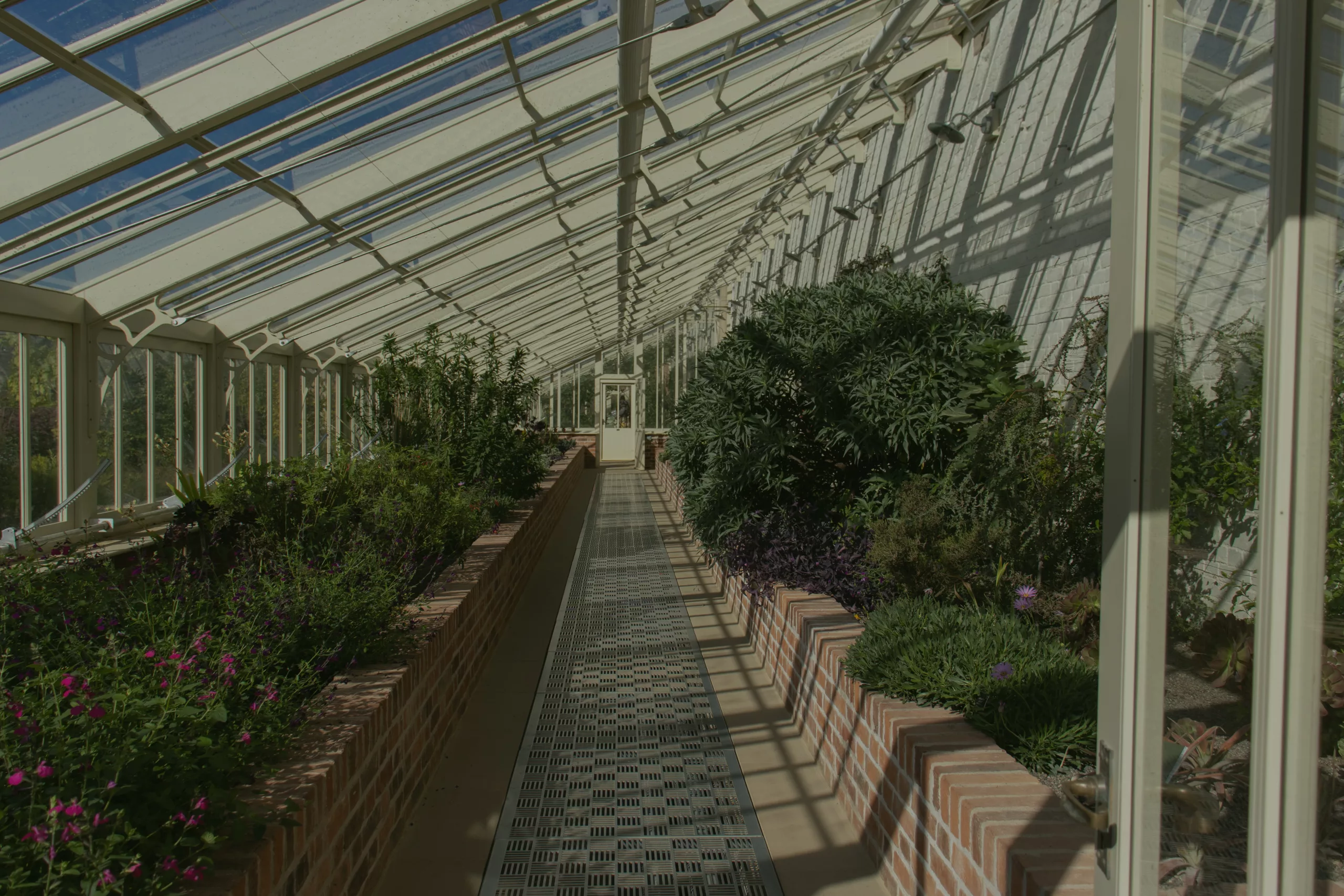 The interior of a bespoke greenhouse at RHS Bridgewater